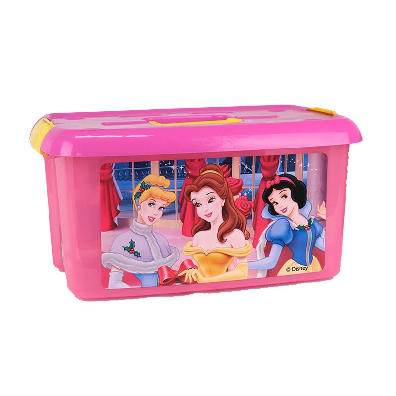 Kulplu saklama kutusu Kalıp Etiketinde Enjeksiyon Kalıplama