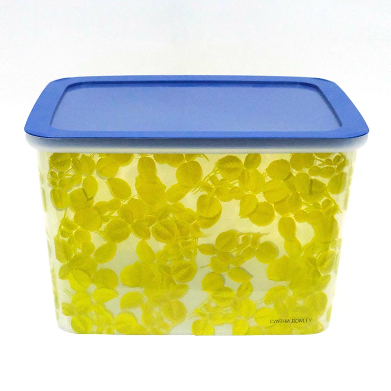 Kalıp Etiketinde Kutu Enjeksiyon Kalıplama Sıralama